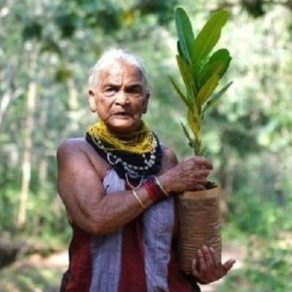 Tulsi-Gowda